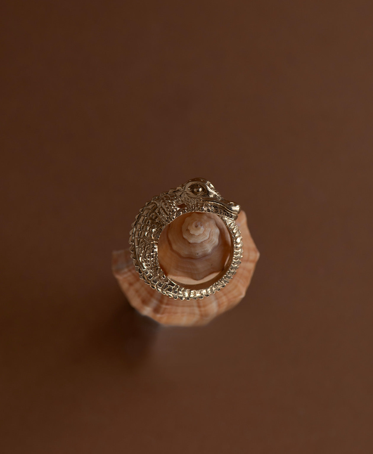 Crocodile Ring - 22k Gold Vermeil