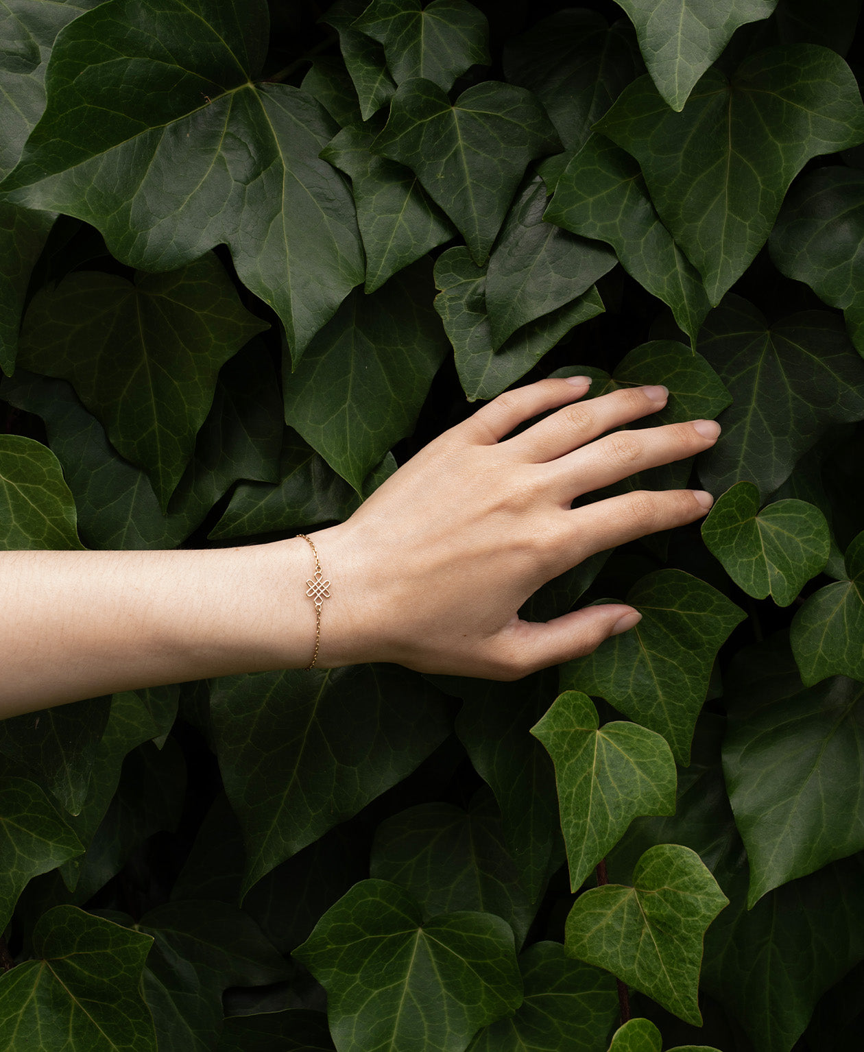 Ophelia Hoops & Eternal Bracelet Gift Set - 22k Gold Vermeil