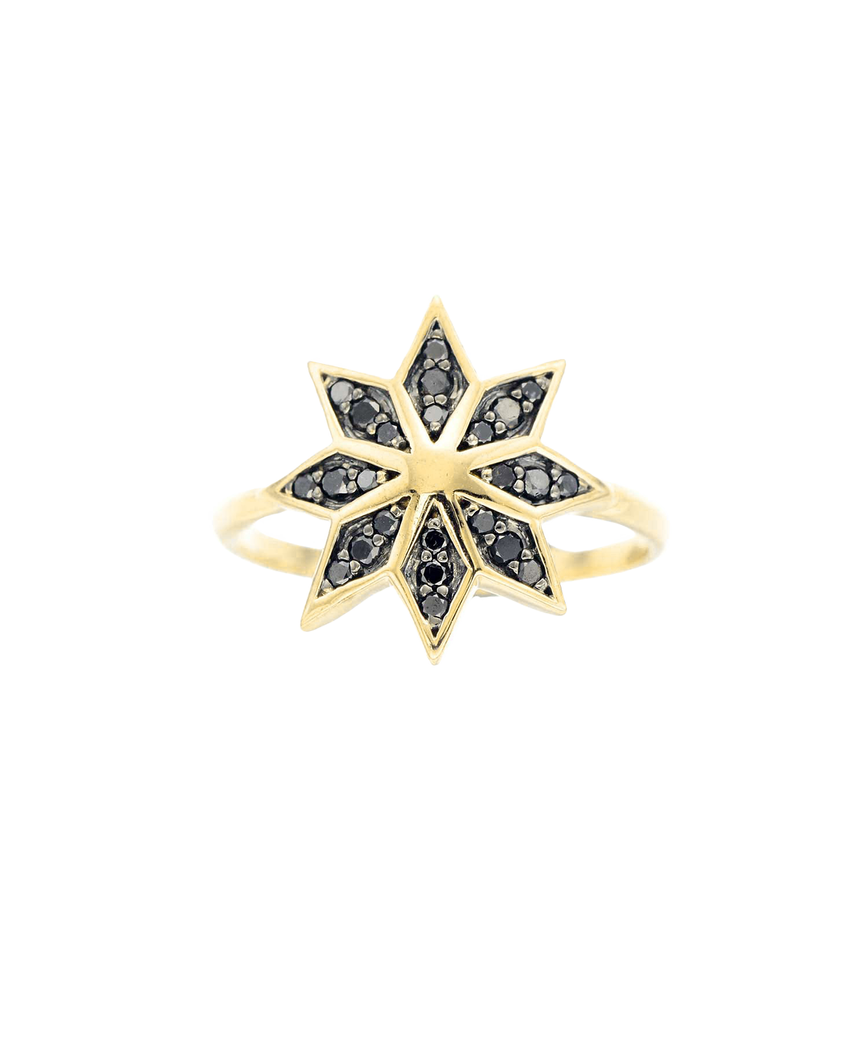 Lakshmi Ring - 9k Yellow Gold, Black Diamond