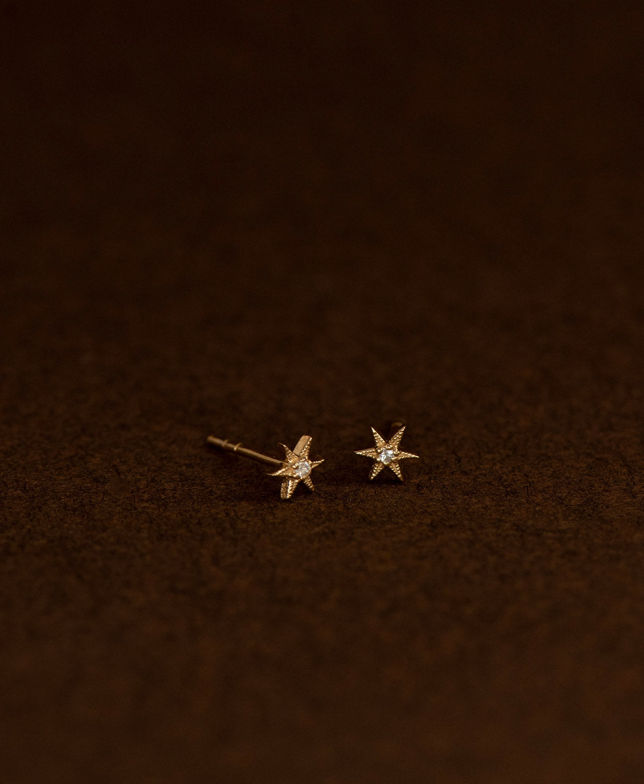 No Star Like Thee Studs - 22k Gold Vermeil, White Zircon