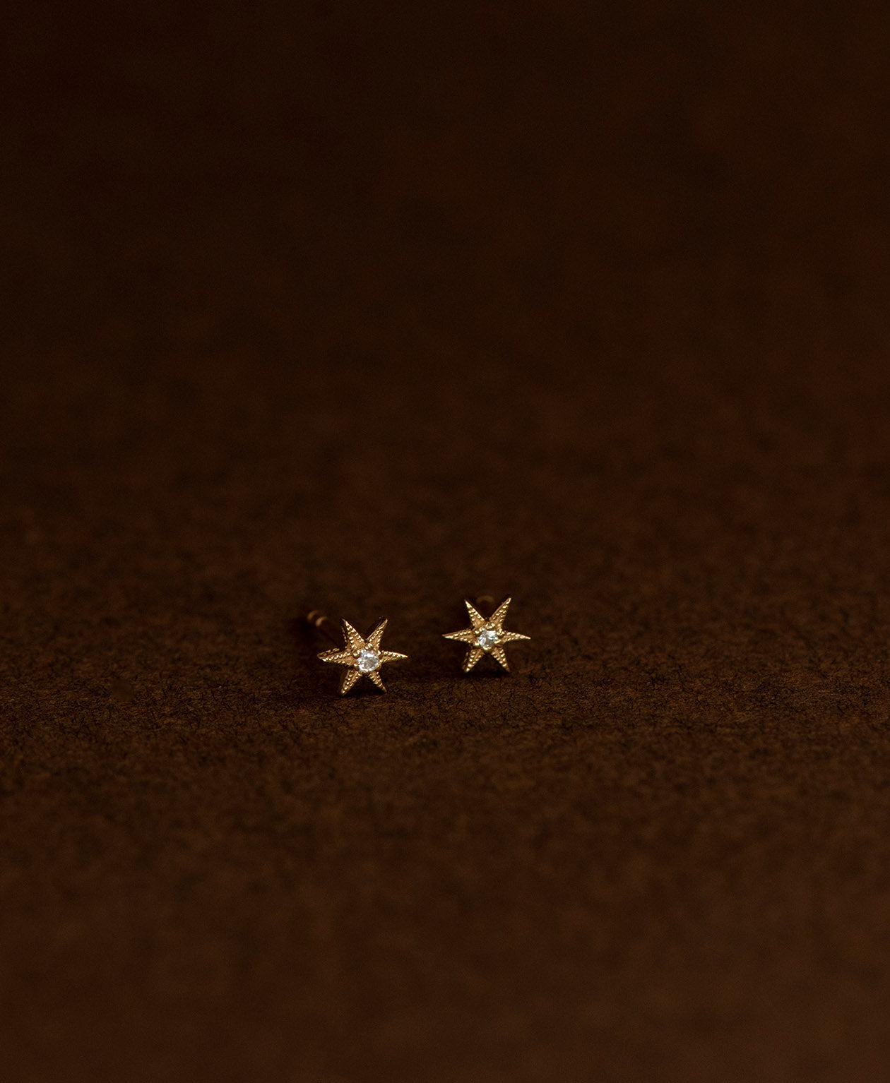 No Star Like Thee Studs - 22k Gold Vermeil, White Zircon