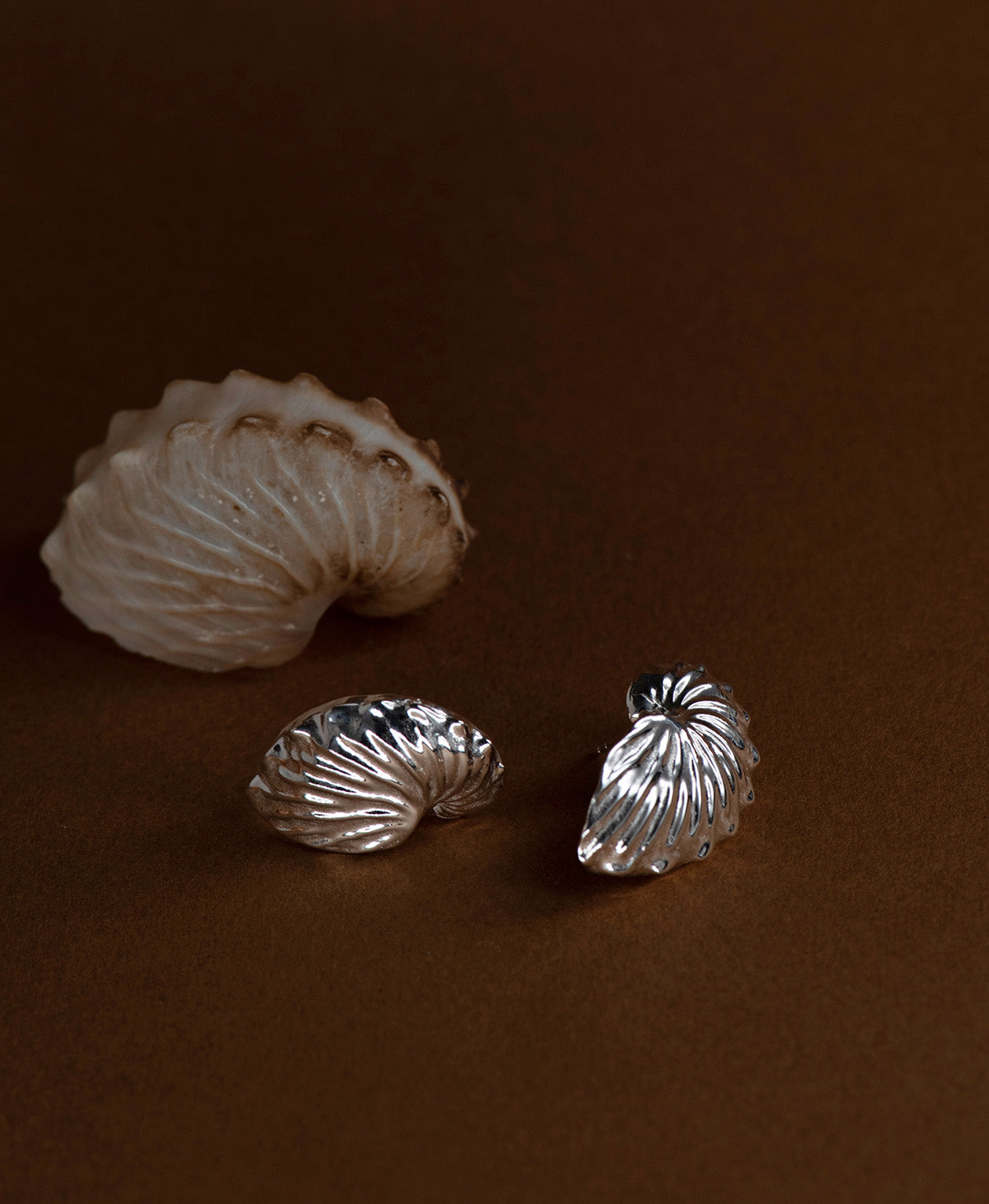 Paper Nautilus Earrings - 925 Sterling Silver