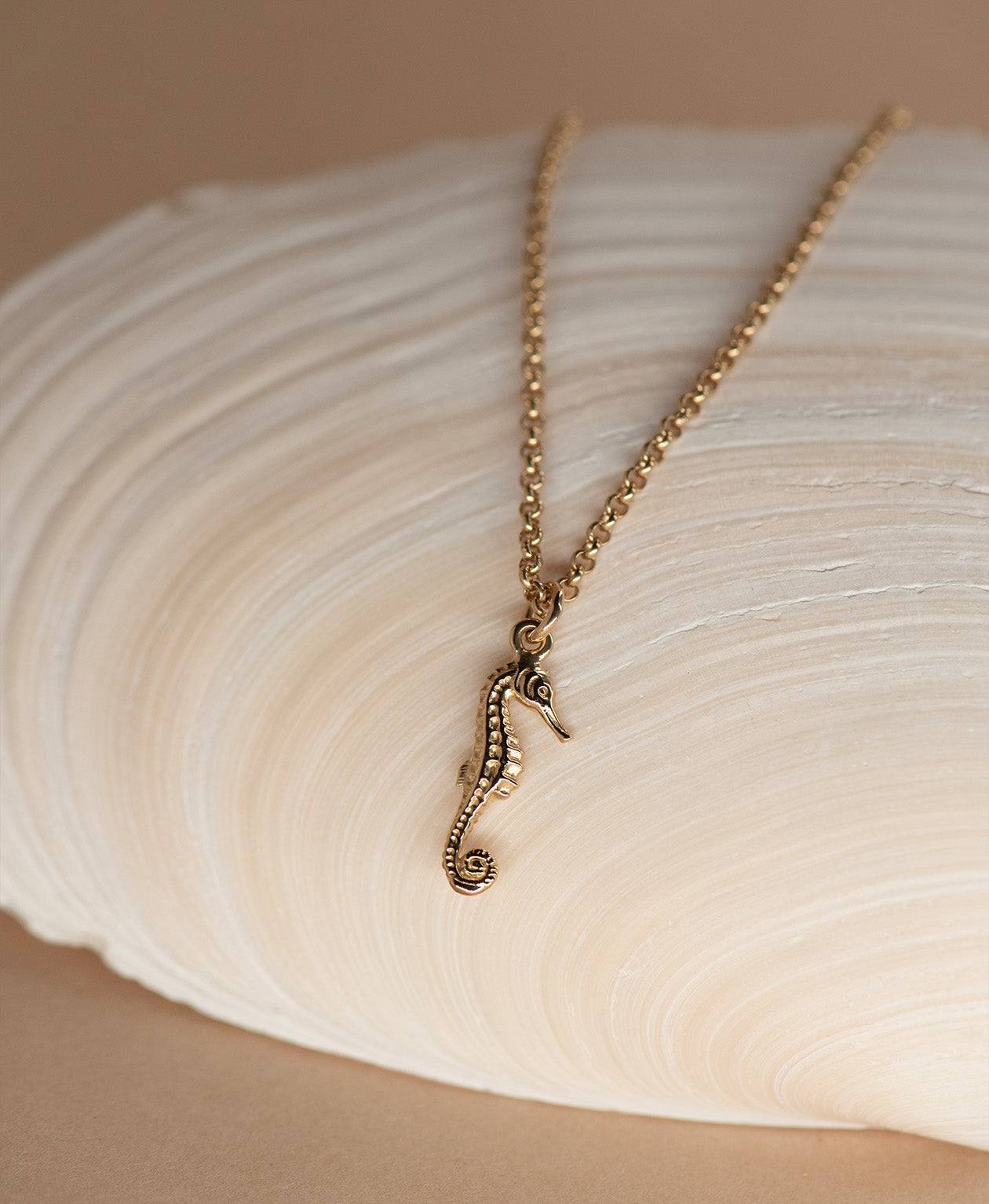 Seahorse Necklace - 22k Gold Vermeil