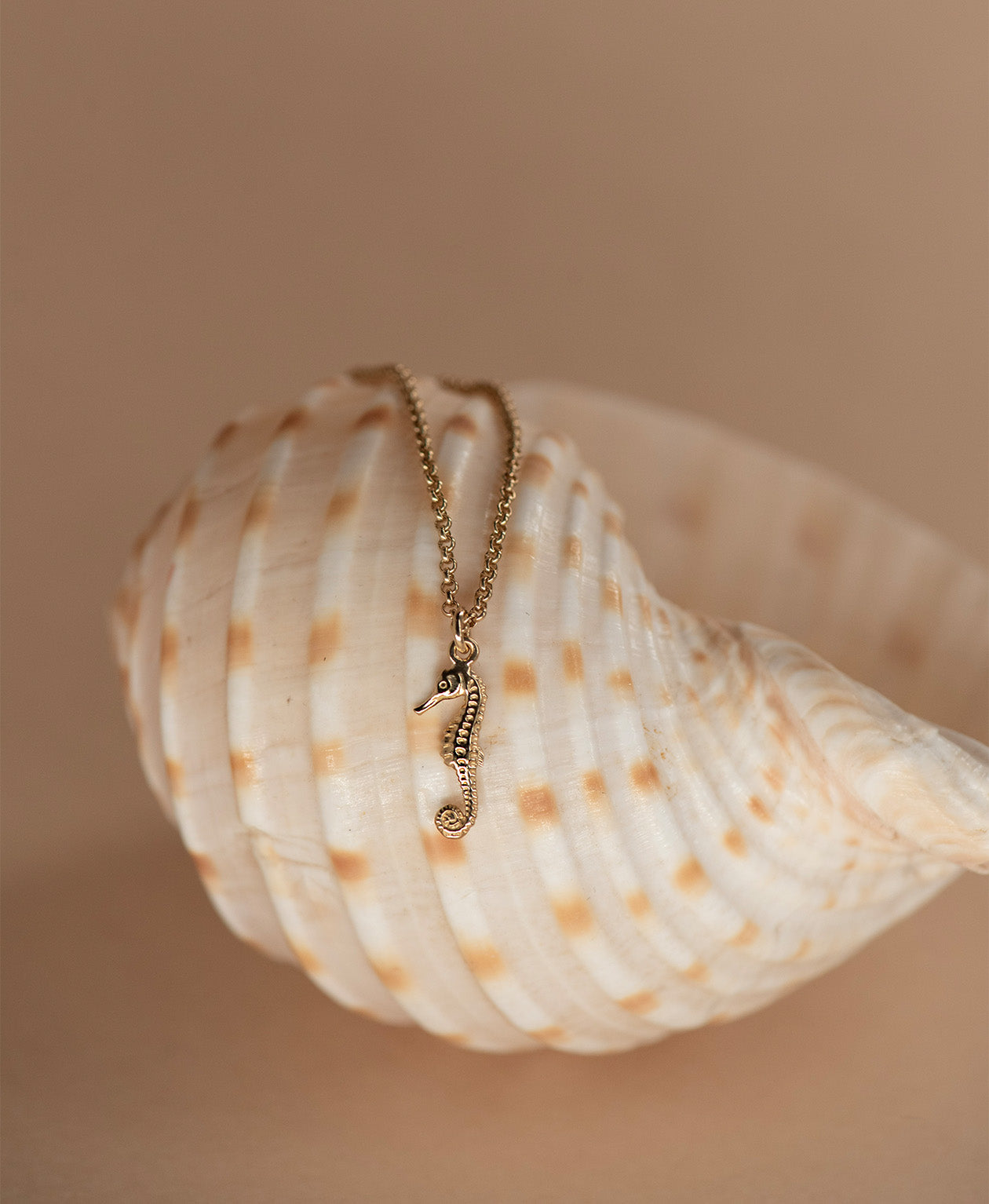Seahorse Necklace - 22k Gold Vermeil