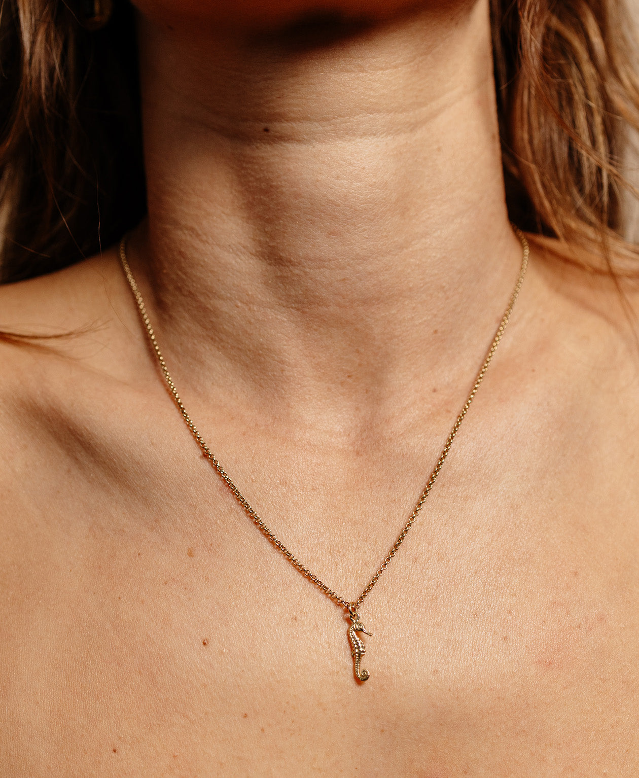 Seahorse Necklace - 22k Gold Vermeil