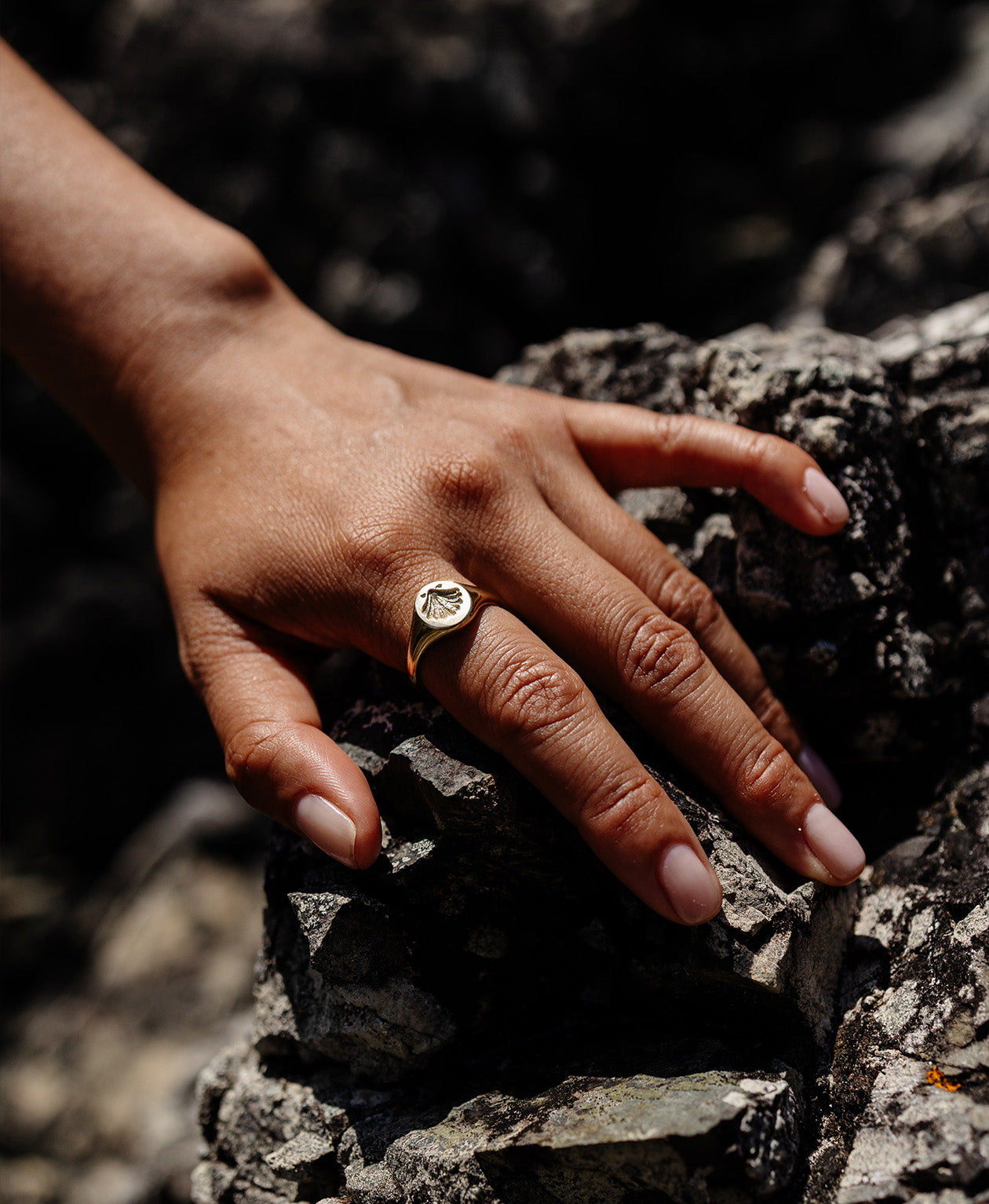Secret Society of Shell Lovers Signet - 22k Gold Vermeil