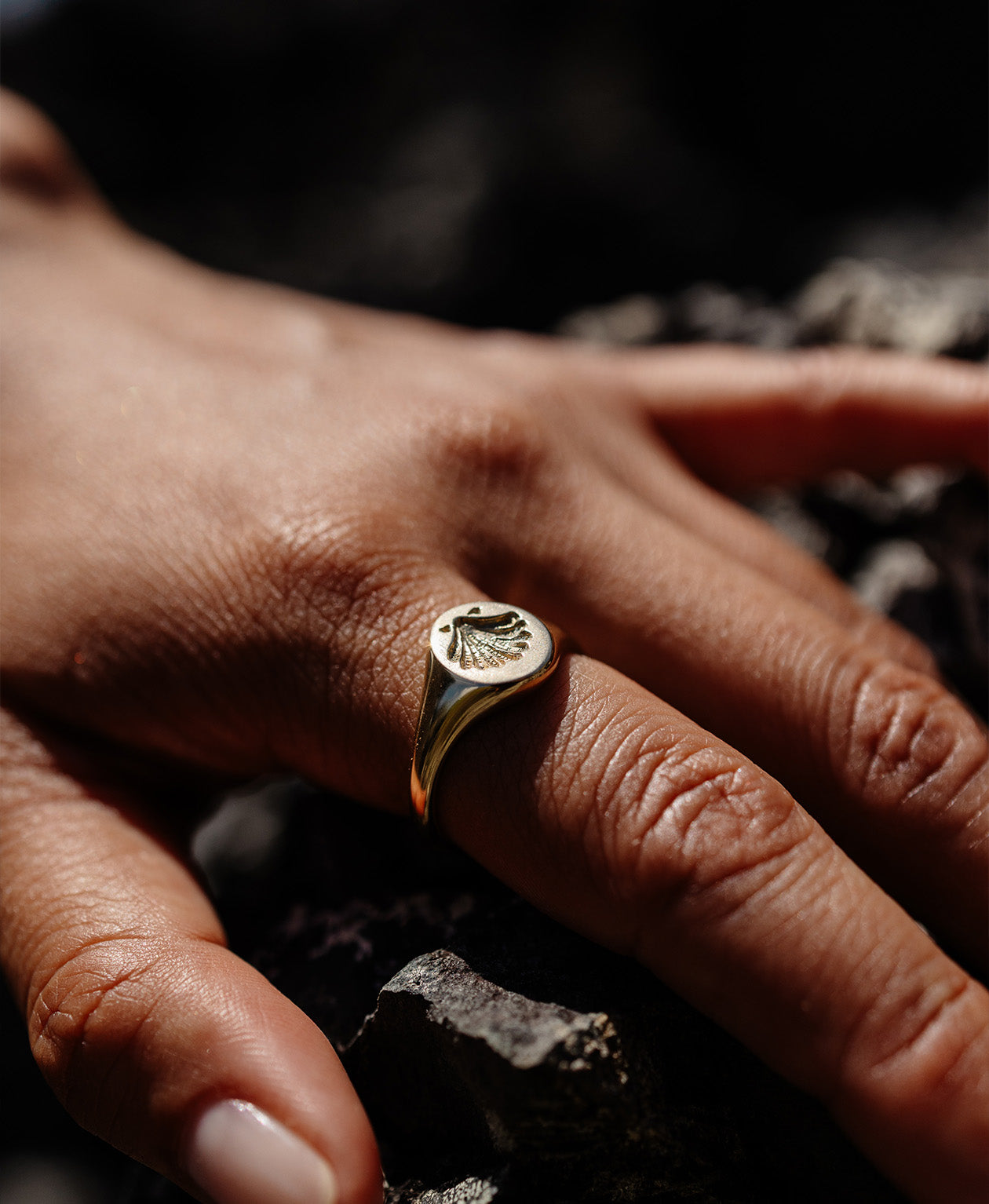 Secret Society of Shell Lovers Signet - 22k Gold Vermeil
