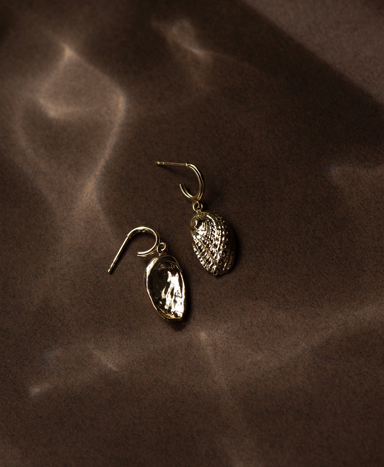 Soul Paua Earrings - 22k Gold Vermeil