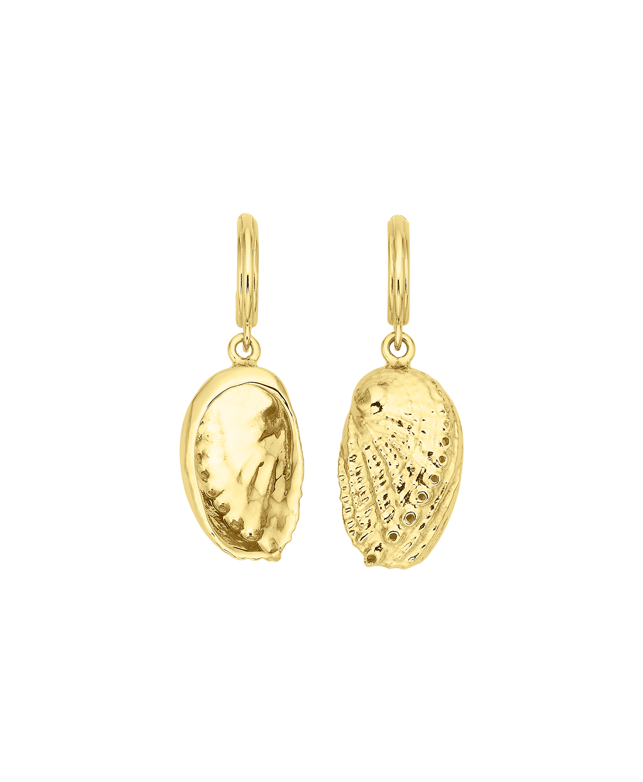 Soul Paua Earrings - 22k Gold Vermeil