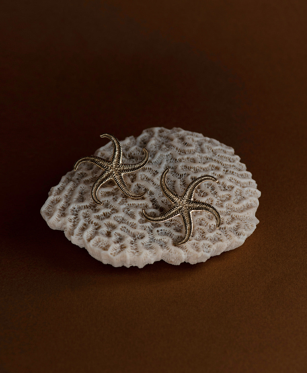 Starfish Earrings - 22k Gold Vermeil