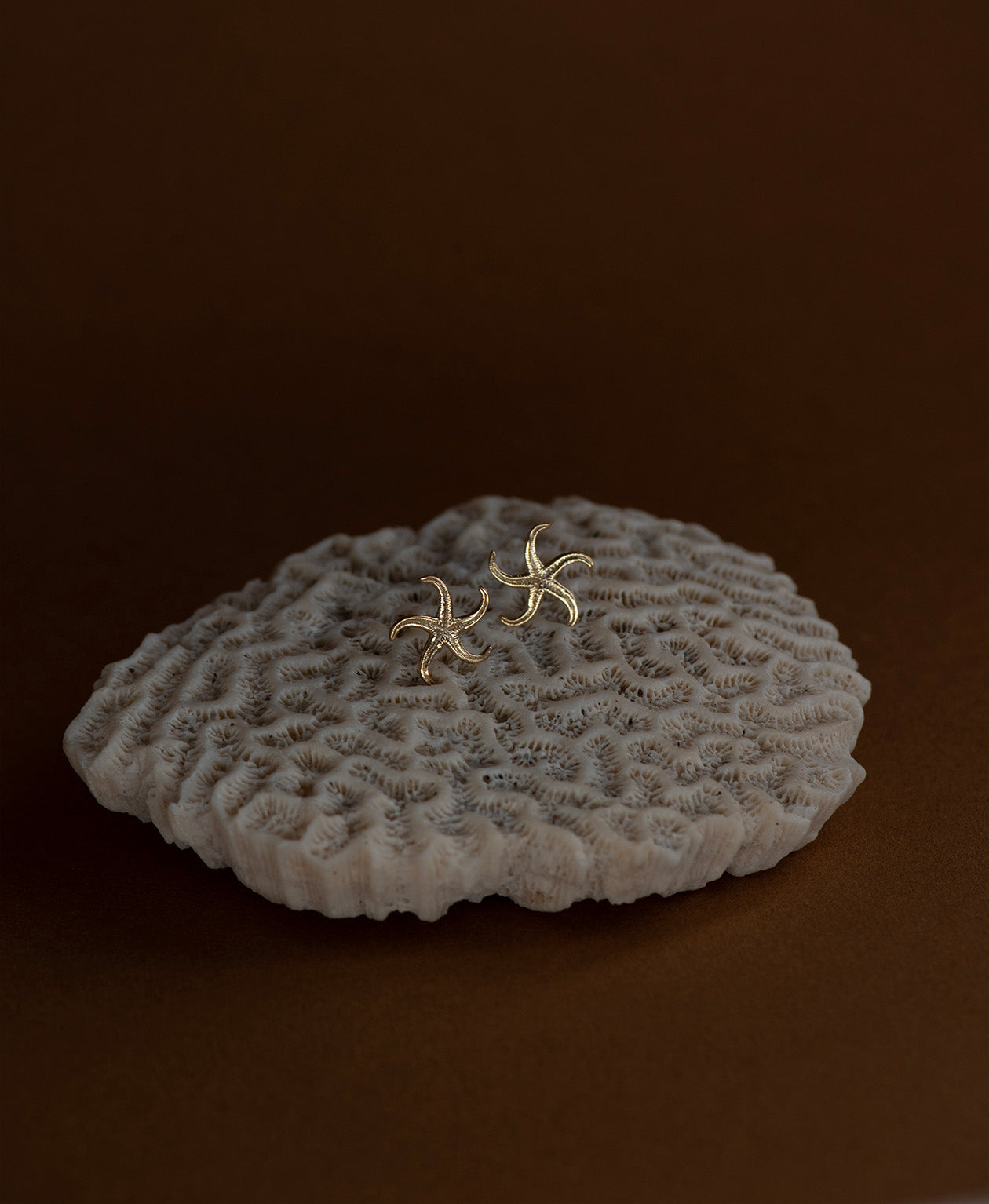 Starfish Studs - 22k Gold Vermeil