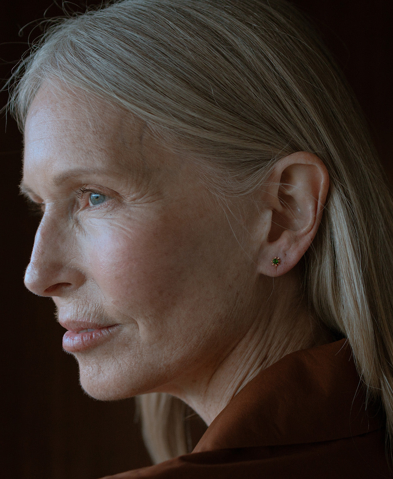 Stella Earrings - 22k Gold Vermeil, Chrome Diopside