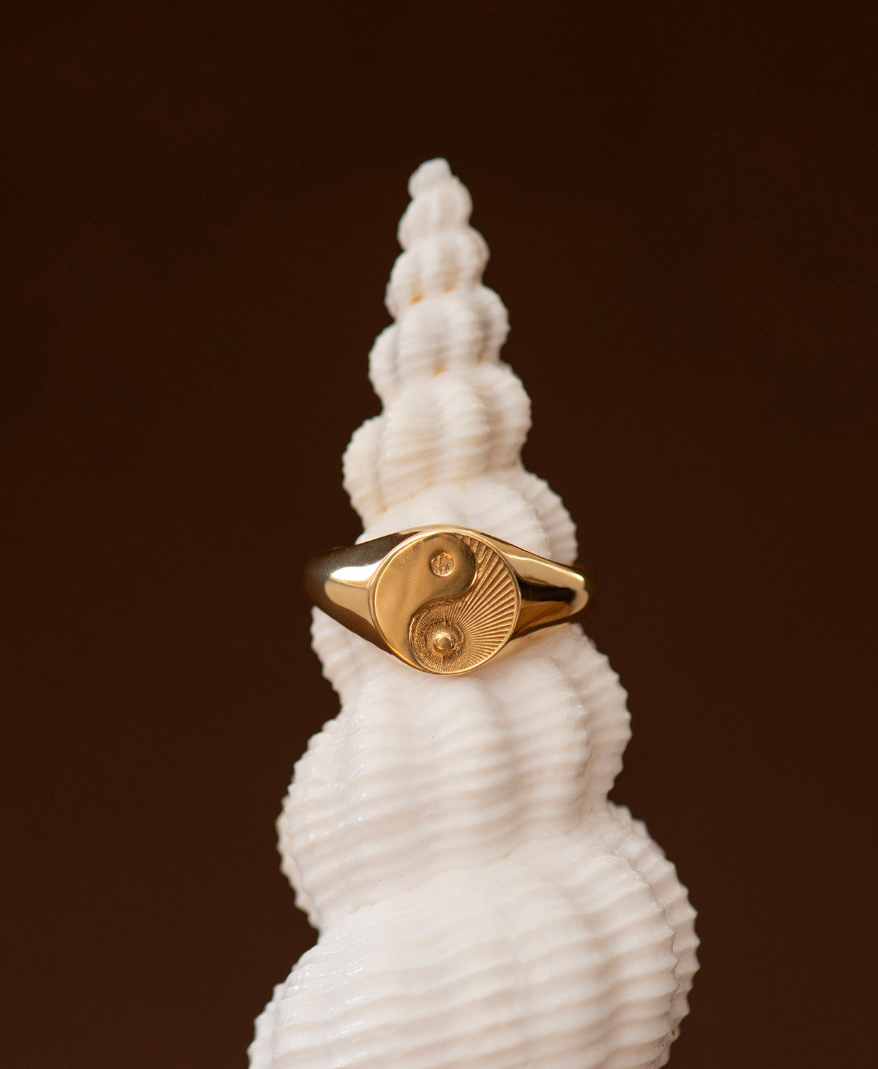 Yin Yang Ring - 22k Gold Vermeil
