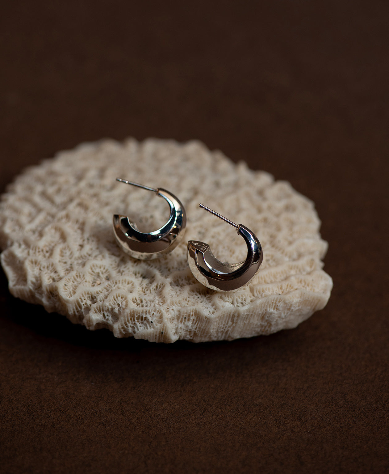 cira-hoops-silver-1-zoe-and-