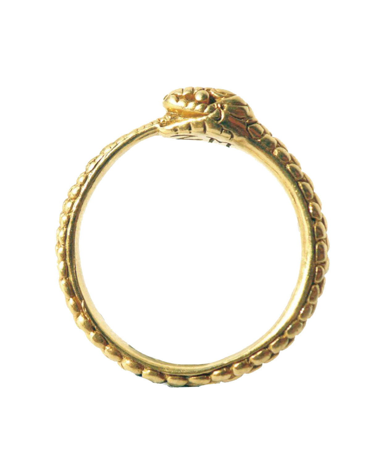 Eternity Snake Ring - 22k Gold Vermeil