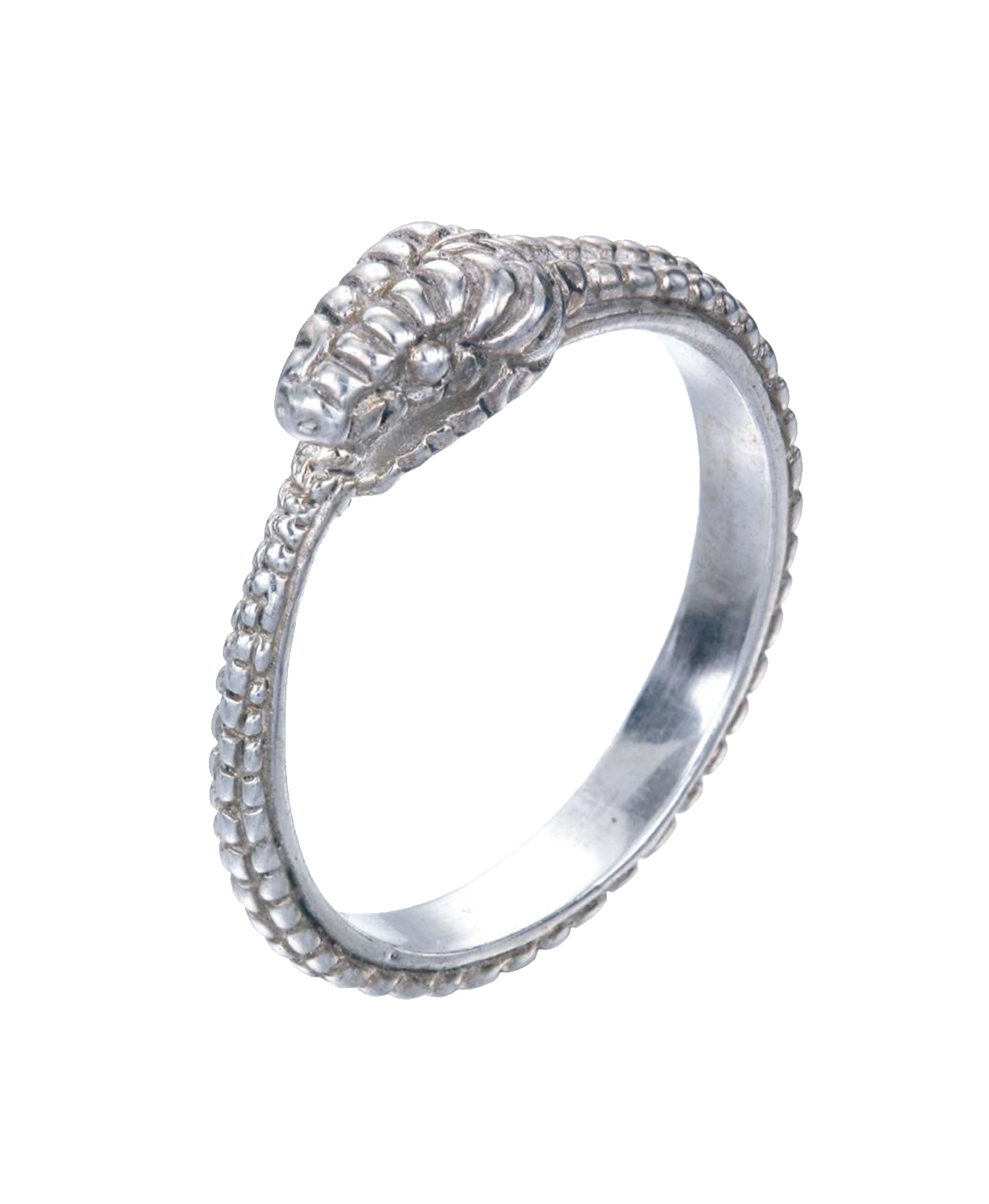 Eternity Snake Ring - 925 Sterling Silver