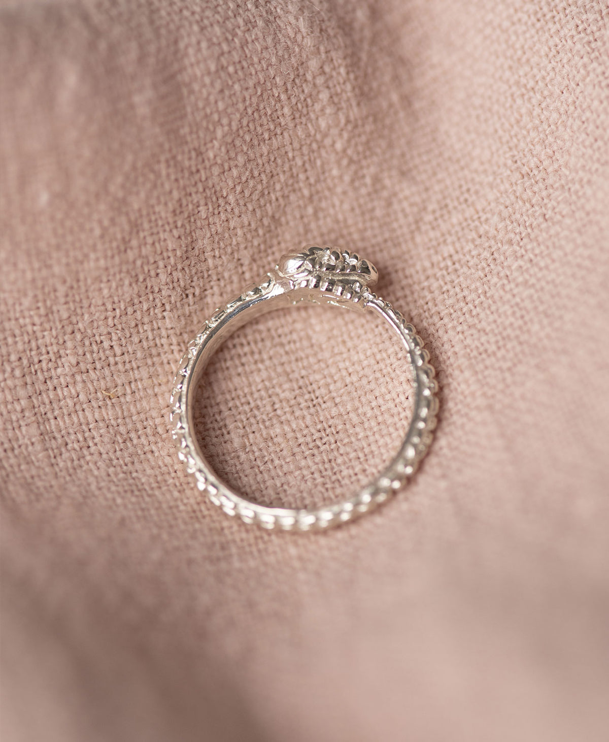 Eternity Snake Ring - Sterling Silver | Zoë & Morgan NZ