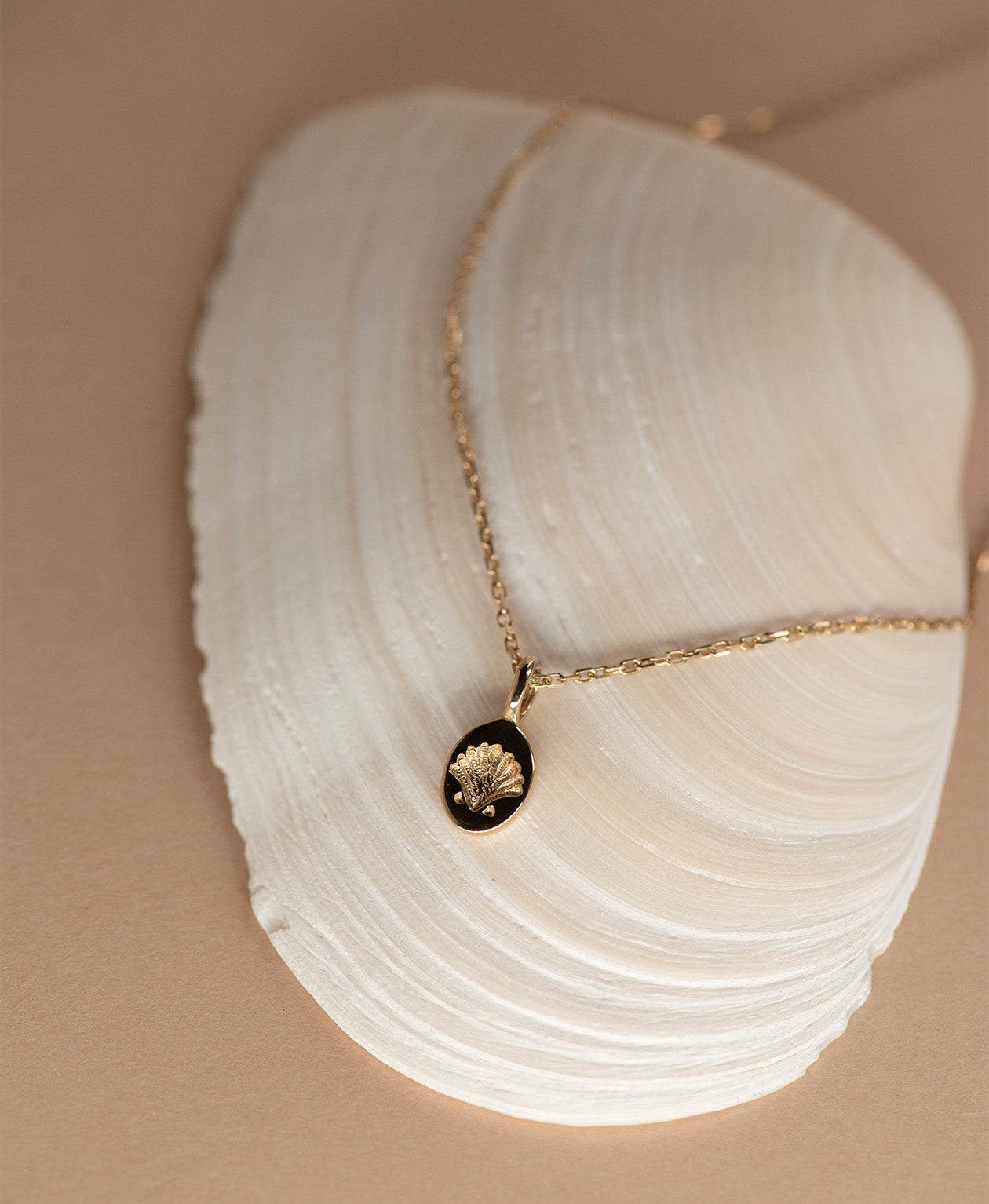 Secret Society of Shell Lovers Necklace - 22k Gold Vermeil