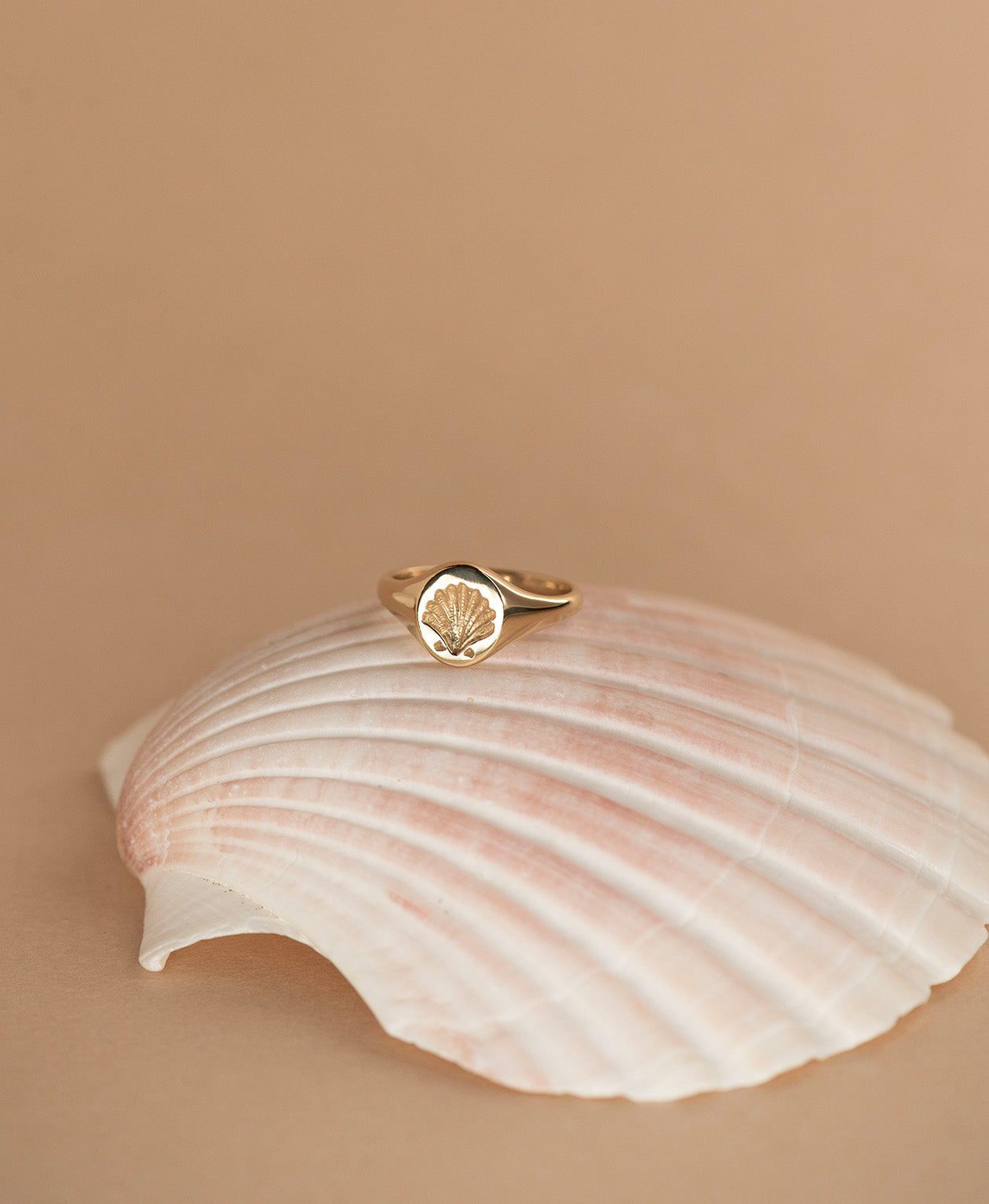 Secret Society of Shell Lovers Signet - 22k Gold Vermeil