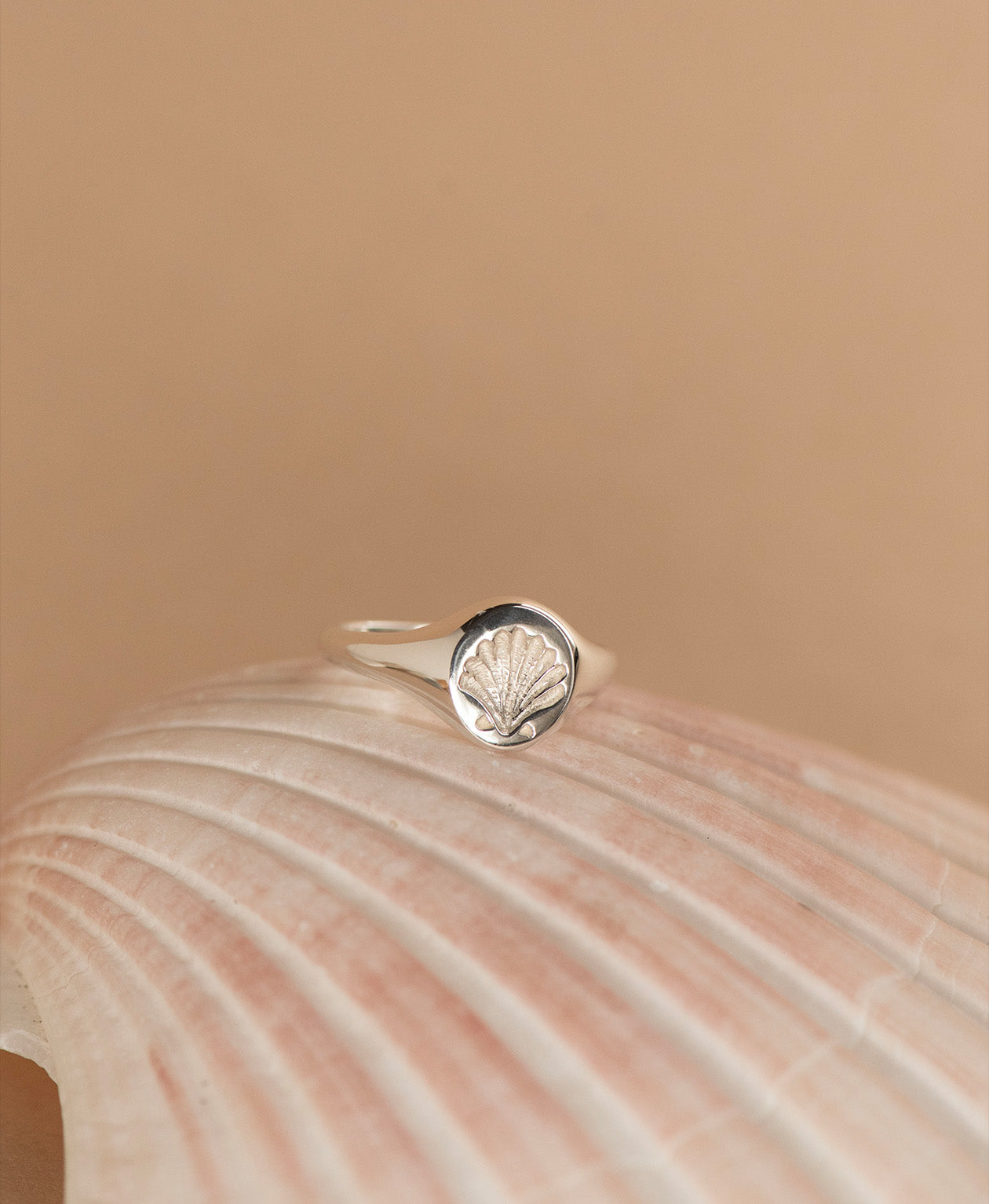 Secret Society of Shell Lovers Signet - 925 Sterling Silver