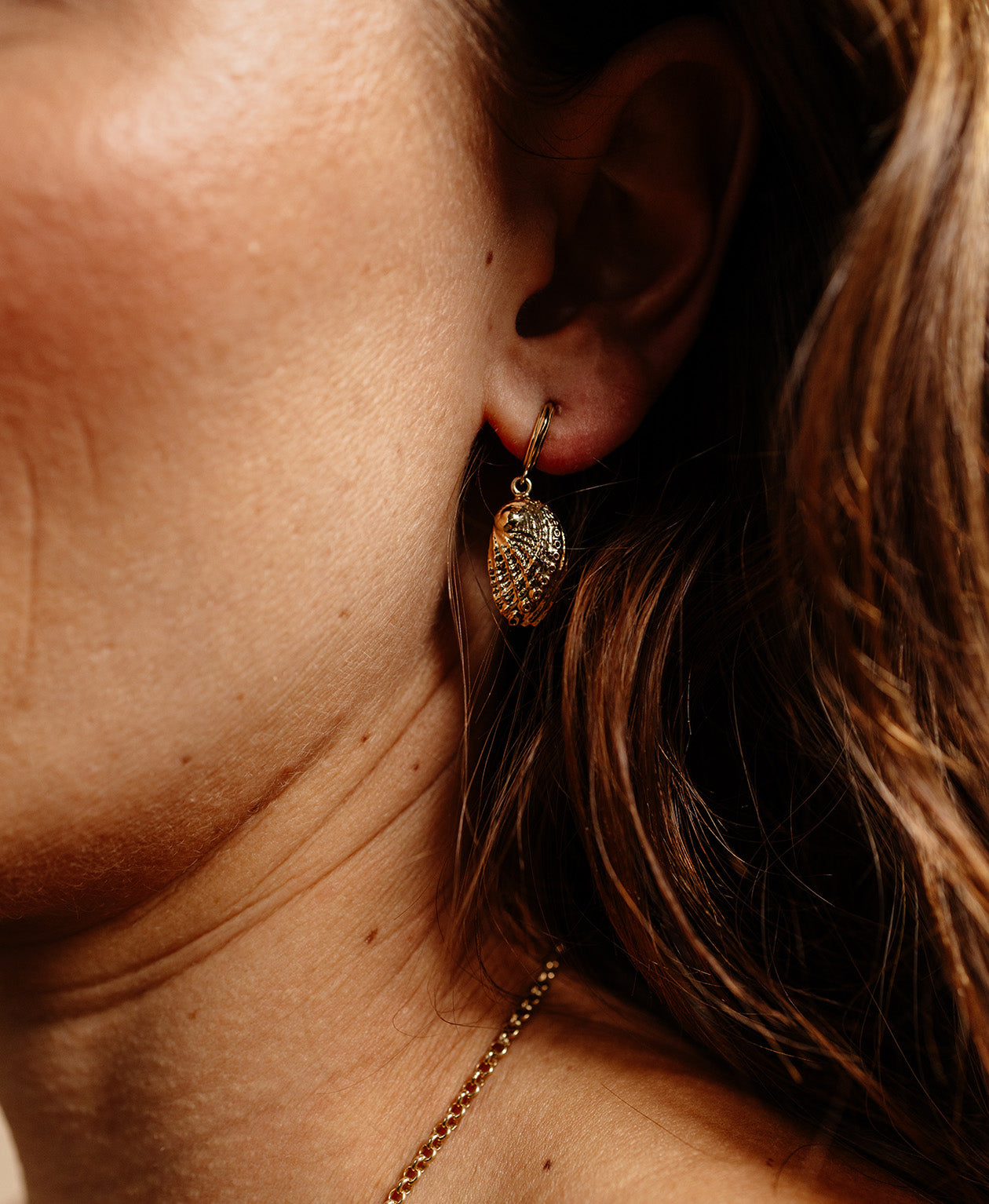 Soul Paua Earrings - 22k Gold Vermeil