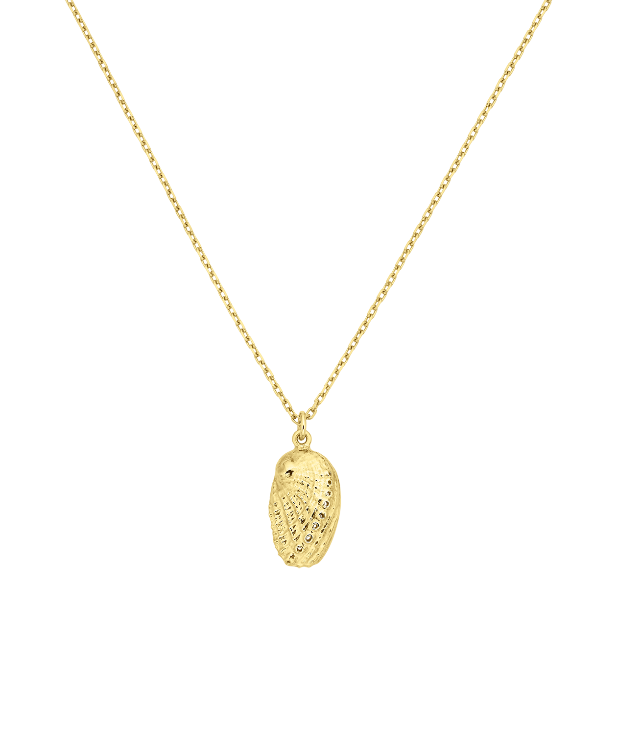Soul Paua Necklace - 22k Gold Vermeil