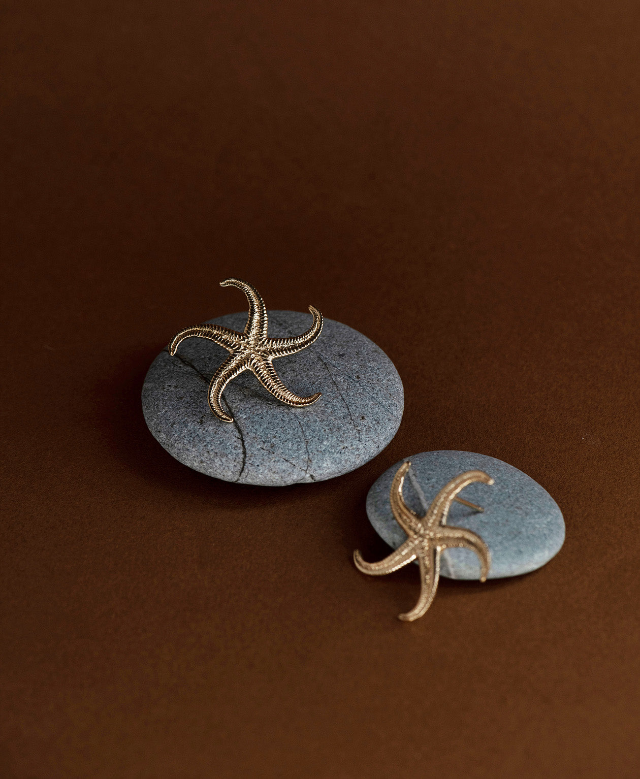 Starfish Earrings - 22k Gold Vermeil